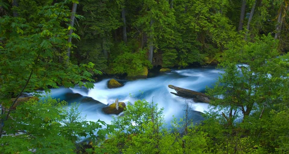 Der McKenzie River unterhalb der Tamolitch Falls, Willamette National Forest, Oregon – George Ostertag/Age Fotostock/Photolibrary &copy; (Bing Germany)