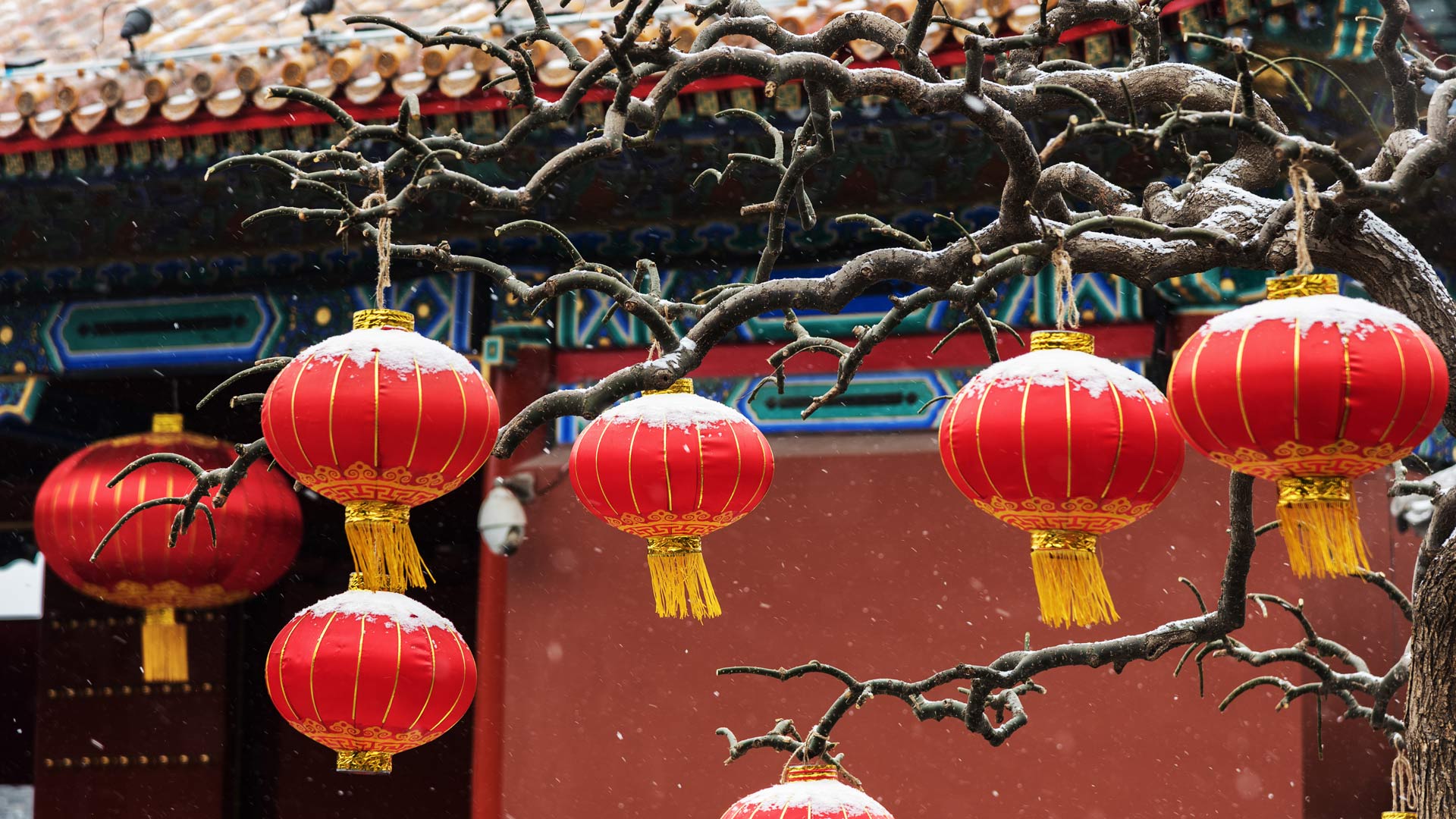 【今日春节】 (© bingdian/iStock/Getty Images Plus)(Bing China)