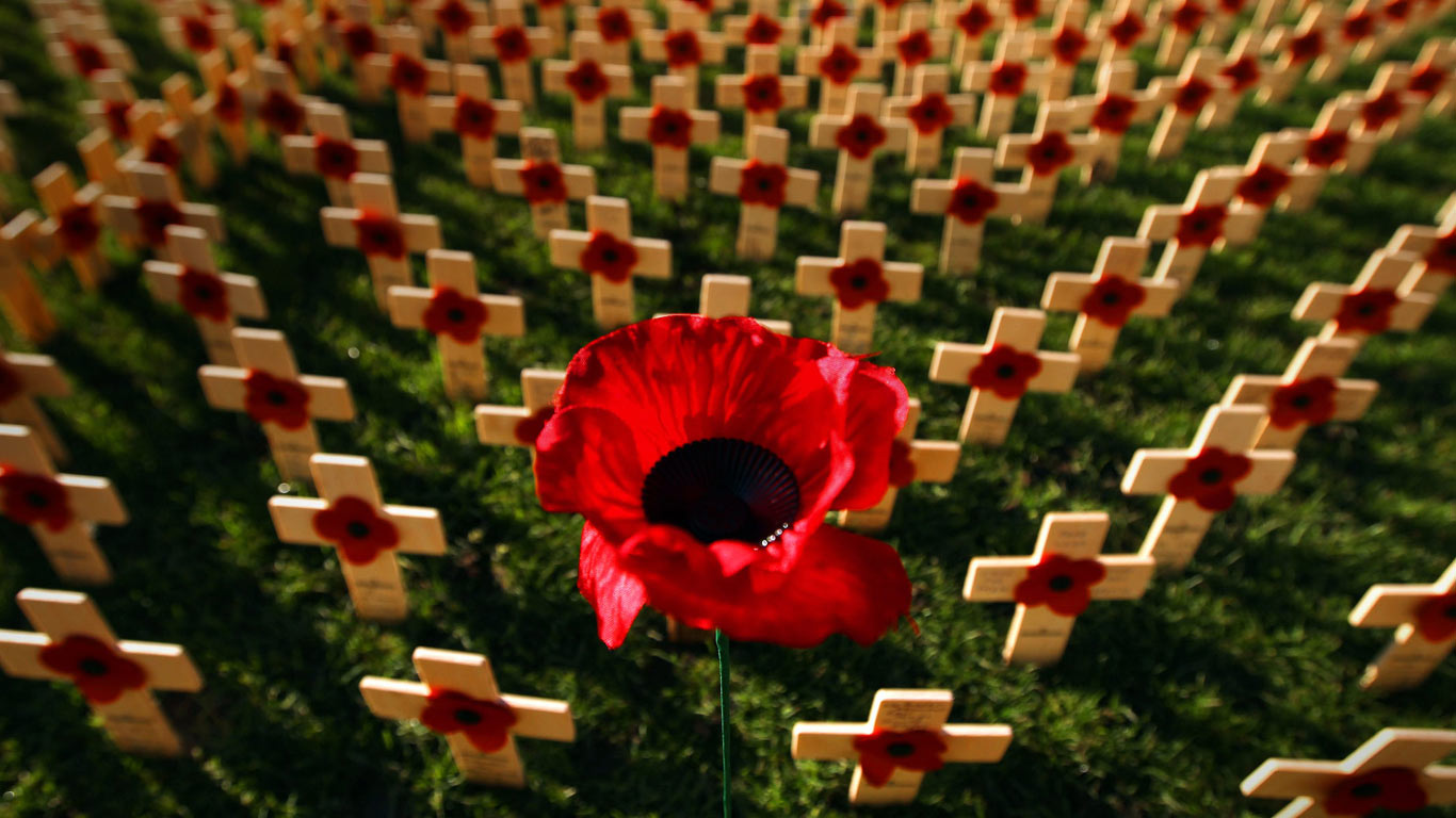 Field of Remembrance in Princess Street Gardens, Edinburgh, Scotland (© Jeff J Mitchell/Getty Images)(Bing United Kingdom)