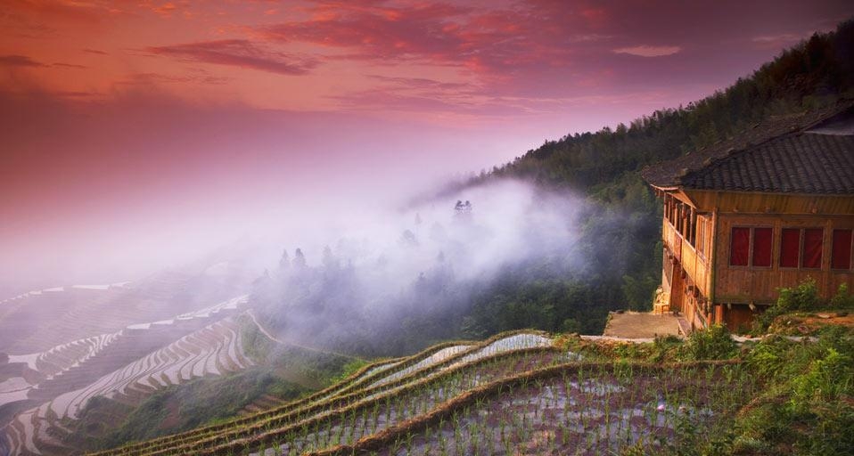 拂晓时分薄雾笼罩下的梯田 (© Angelo Cavalli/Corbis) &copy; (Bing China)