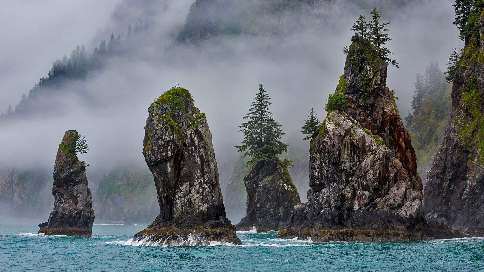 The Cove of Spires in Kenai Fjords National Park near Seward, Alaska, USA (© Grant Ordelheide/Tandem Stills + Motion)(Bing United Kingdom)