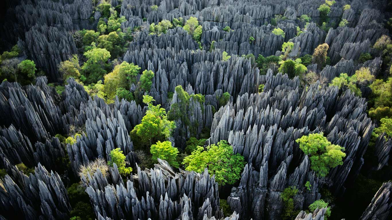Tsingy de Bemaraha National Park, Madagascar (© Frans Lanting/Mint)(Bing United Kingdom)