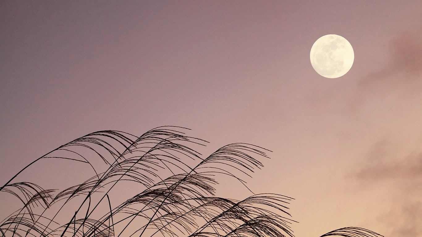満月とススキ (© Masterfile/Masterfile)(Bing Japan)
