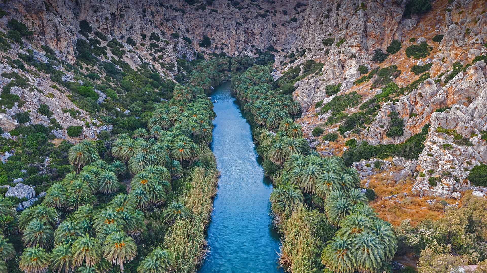 Palmenhain in der Schlucht von Preveli, Kreta, Griechenland (© borchee/Getty Images)(Bing Deutschland)