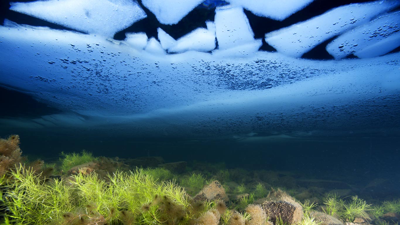 ｢イドゥアル湖｣イギリス, ウェールズ (© Graham Eaton/Minden Pictures)(Bing Japan)