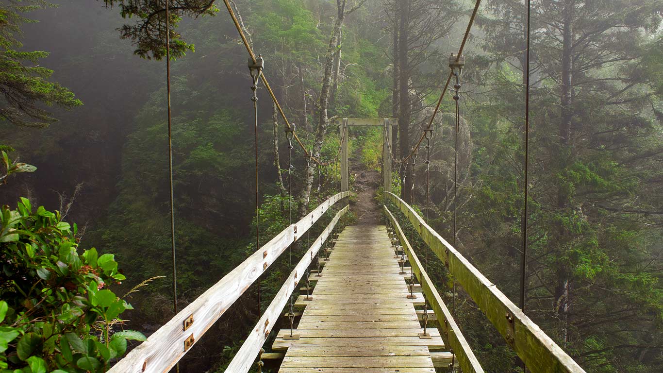 Hanging bridge across Tsocowis Creek, West Coast Trail on Vancouver Island, British Columbia, Canada (© Sergio Ballivian/Tandem Stock)(Bing United Kingdom)