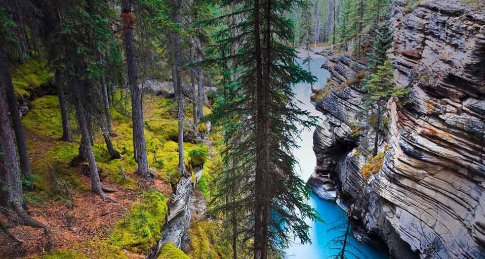The Athabasca River below the Athabasca Falls in Jasper National Park, Alberta (© Ken Gillespie/Corbis) &copy; (Bing Canada)