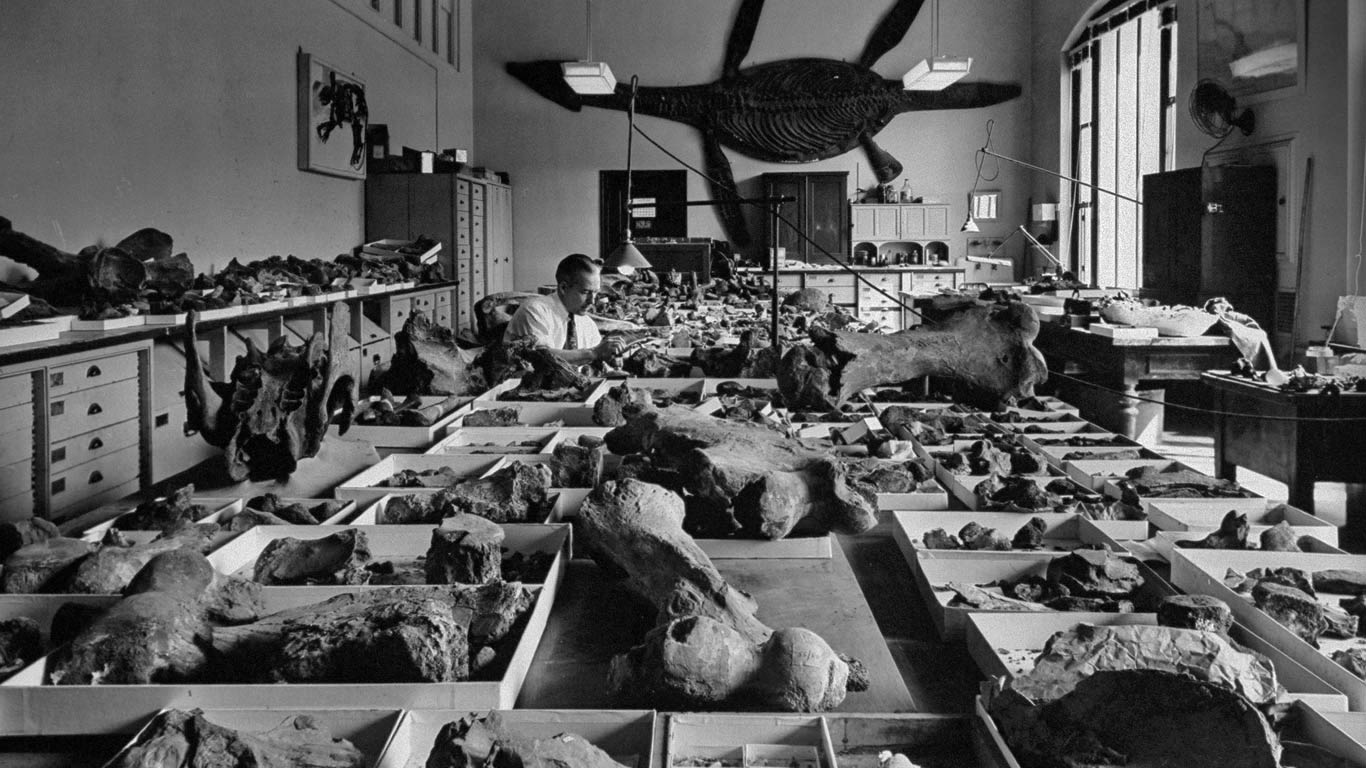 Behind the scenes at the Smithsonian, which was founded Aug 10, 1846 (© Mark Kauffman/Getty Images)(Bing United States)