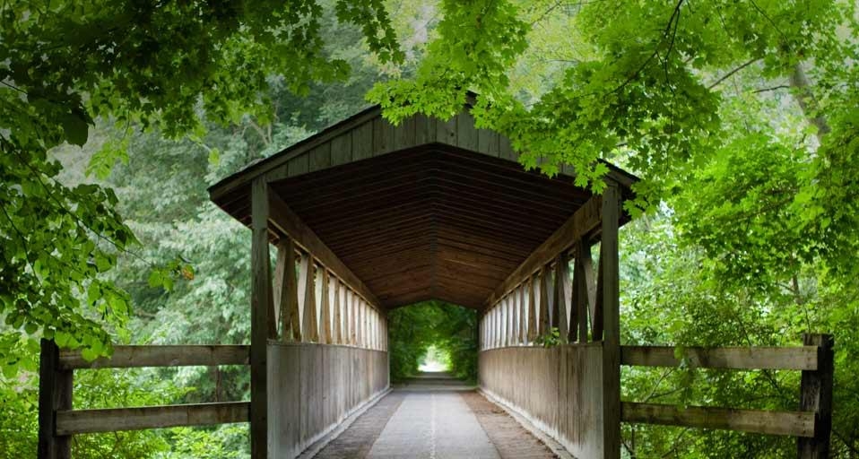 ｢ブラック川の屋根付き橋｣アメリカ, ミシガン州 (© Tara Vorhes/Getty Images)(Bing Japan)