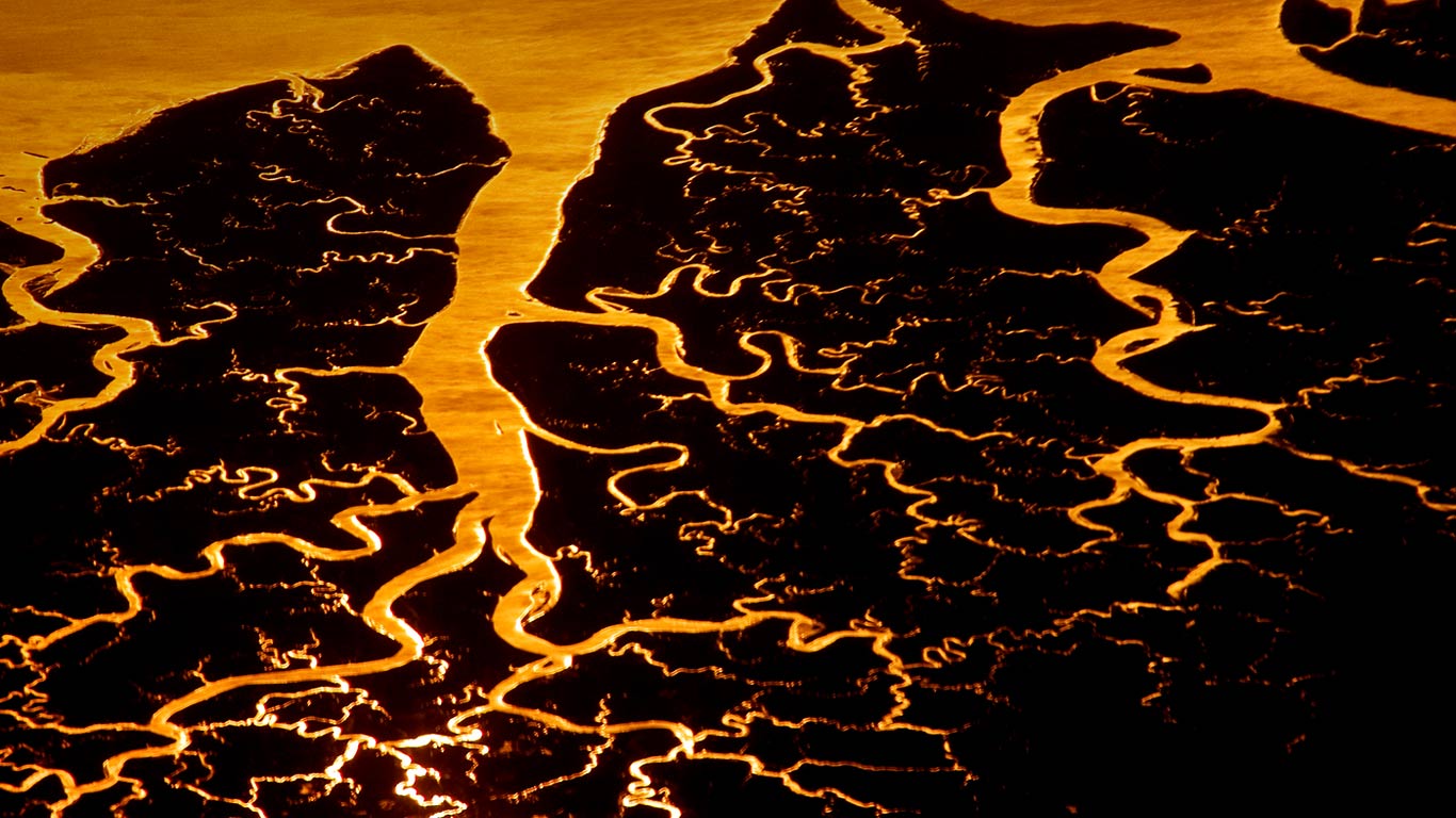 Suwannee River delta, Florida (© Frans Lanting/Corbis)(Bing Canada)