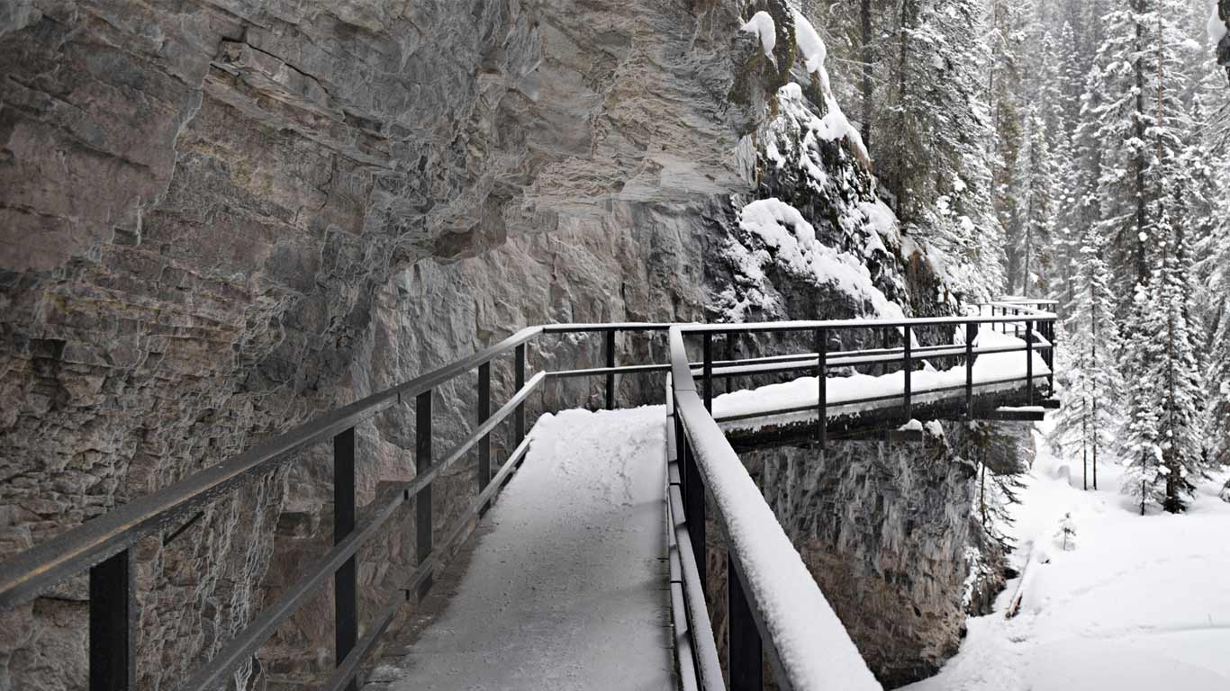 © Aaron Black/Corbis(Bing Canada)