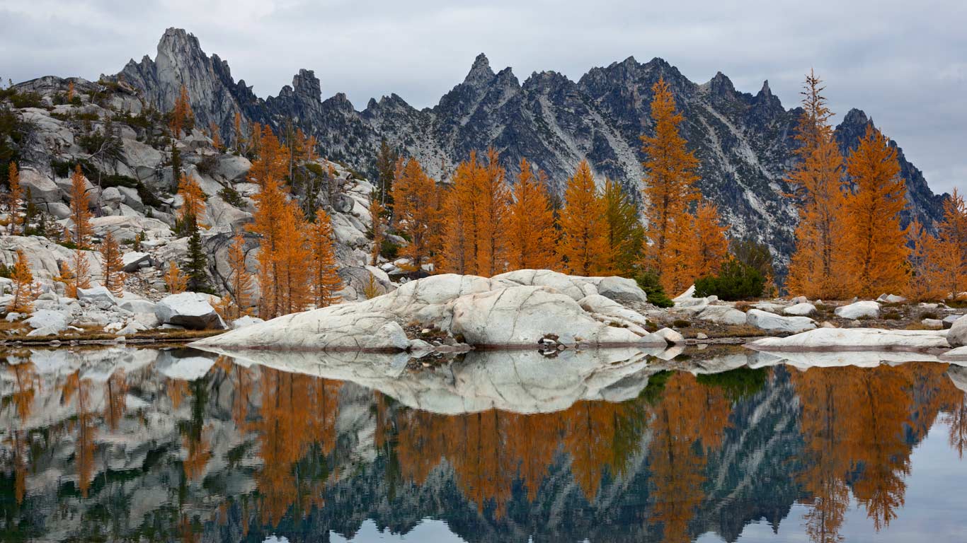 Golden larches and Prusik Peak reflected in Troll Sink Tarn, Upper Enchantments, Alpine Lakes Wilderness, Washington, USA (© Karen Crowe/Corbis)(Bing United Kingdom)