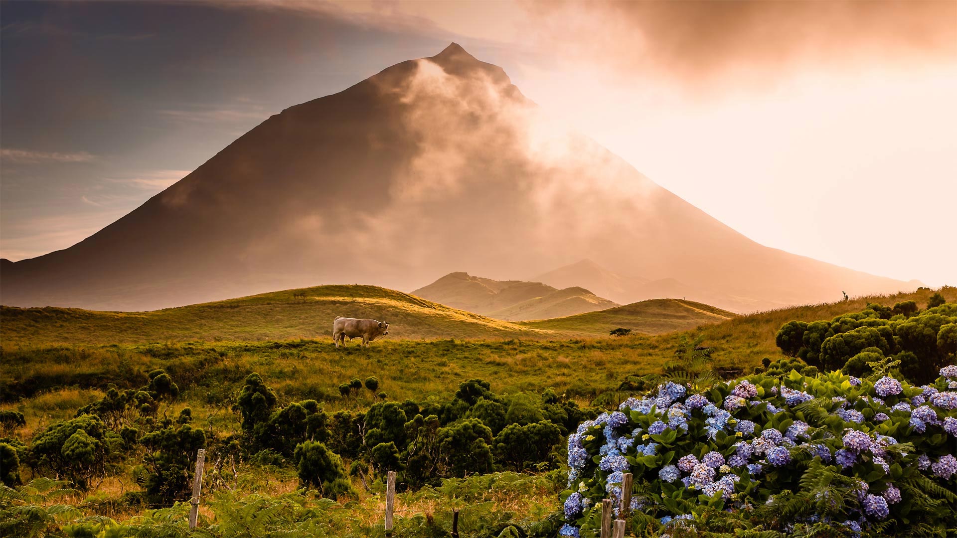 Mount Pico on Pico Island, the Azores (© Atmo-Sphere/Getty Images)(Bing United Kingdom)