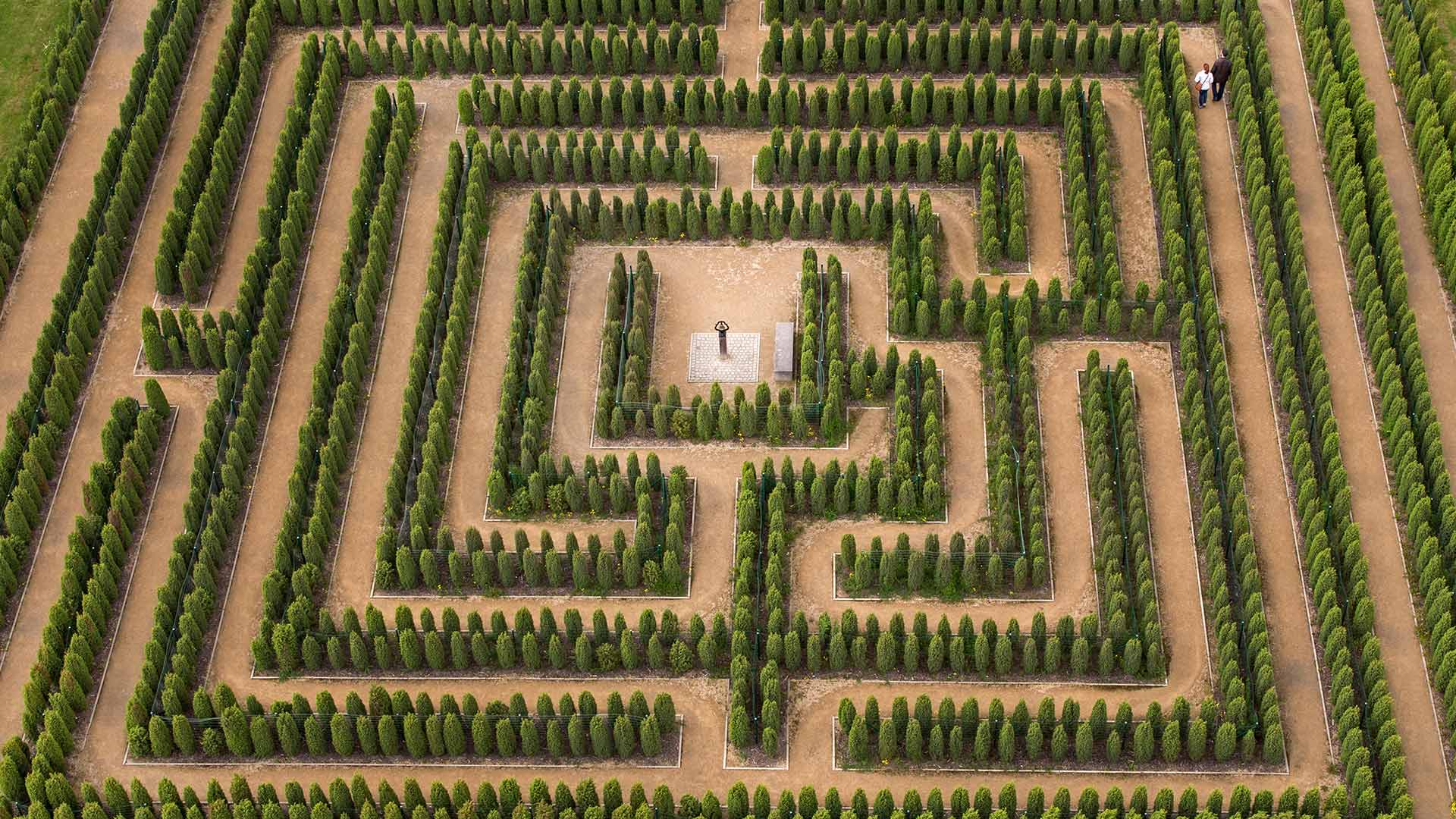 Irrgarten im Erlebnispark Teichland, Brandenburg (© Naturfoto-Online/Alamy)(Bing Deutschland)