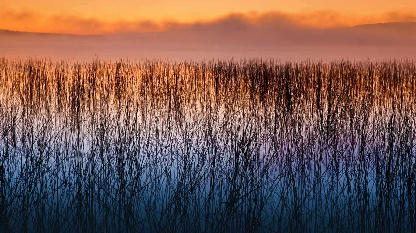The Headwaters Wilderness in Wisconsin, USA (© Ian Shive/Tandem Stills + Motion)(Bing United Kingdom)