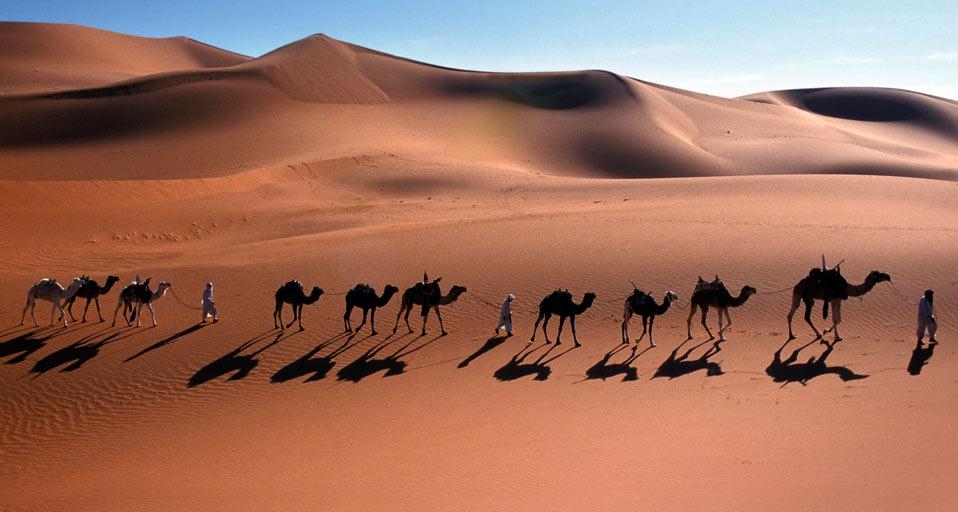 Camel caravan through the Sahara Desert near Djanet, Algeria (© Frans Lemmens/Super Stock) &copy; (Bing United Kingdom)