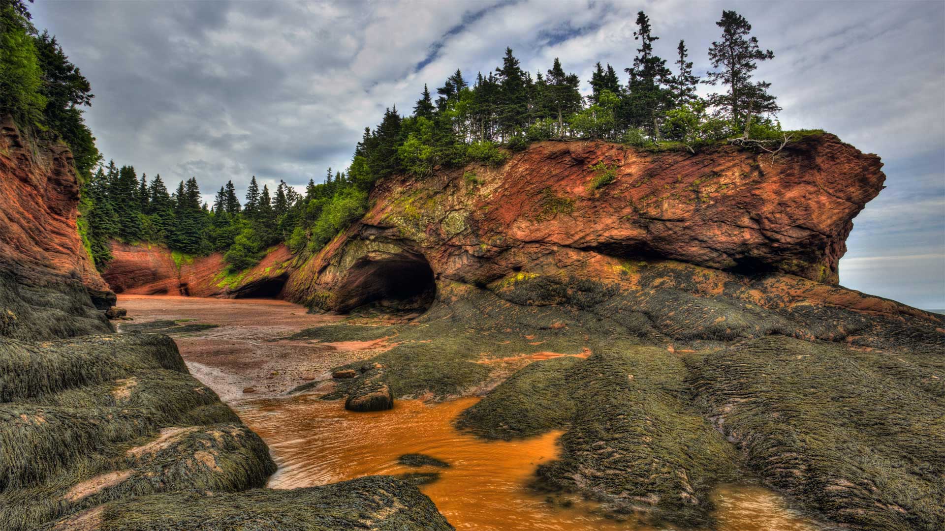 Caves and coastal features at low tide on the Bay of Fundy, near St. Martins, New Brunswick (© Jamie Roach/Shutterstock)(Bing Canada)