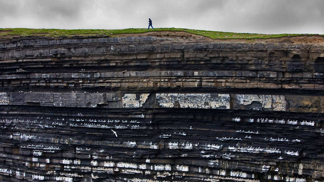 Black-legged kittiwake colony on cliffs, Ireland (© Michel Gunther/Biosphoto/Minden Pictures)(Bing United Kingdom)