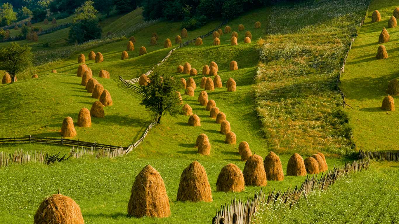 Pasture in Mânăstirea Humorului, Bukovina, Romania (© Photononstop/SuperStock)(Bing United Kingdom)