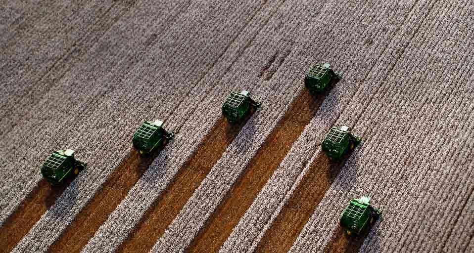 Harvesting cotton in Costa Rica (© Fernando Bueno/Getty Images) &copy; (Bing United Kingdom)