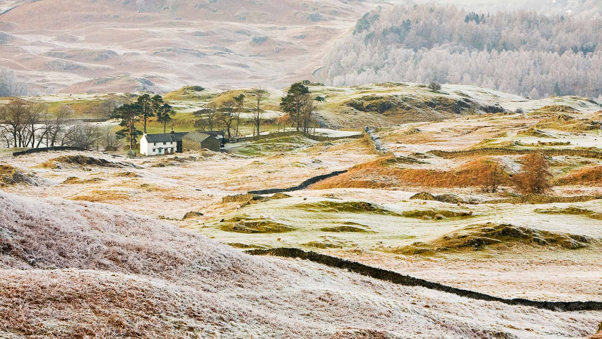 Hoar frost on vegetation near Coniston, Lake District (© Ashley Cooper/Getty Images)(Bing United Kingdom)