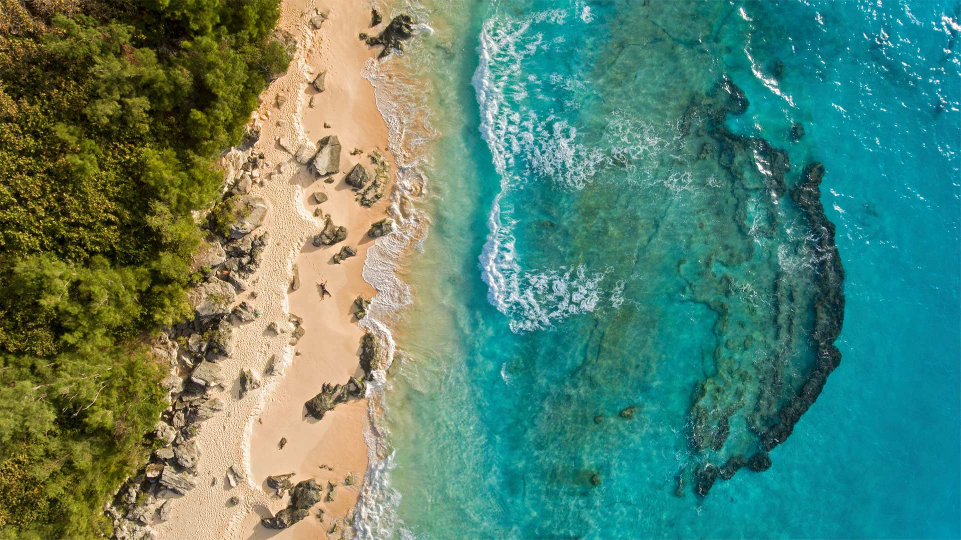 百慕大马利海滩鸟瞰图 (© Paul Zizka/plainpicture)(Bing China)