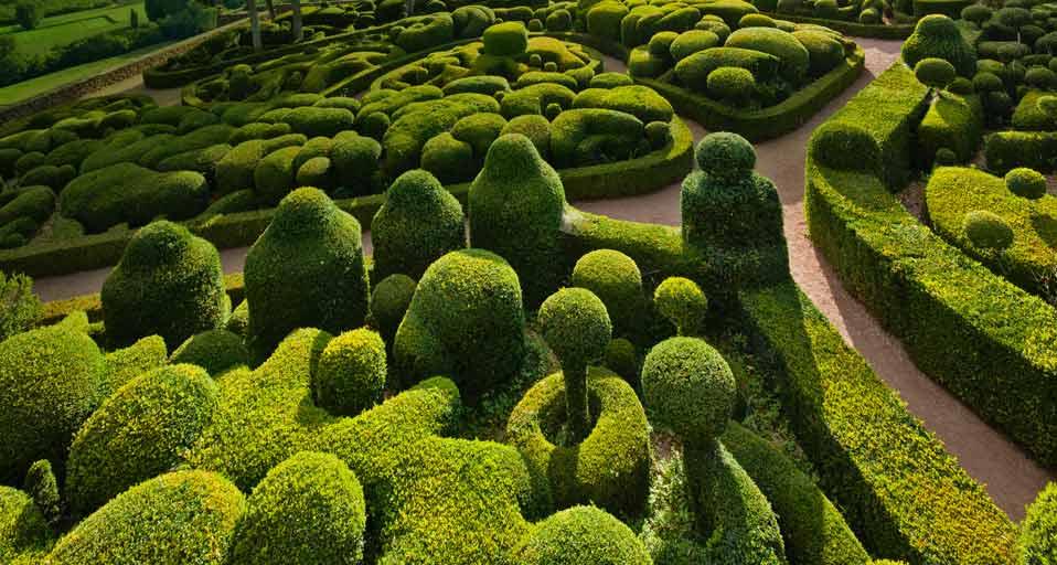 Sculpted boxwoods at the Château de Marqueyssac in Vézac, France (© Peet Simard/Corbis)(Bing United States)