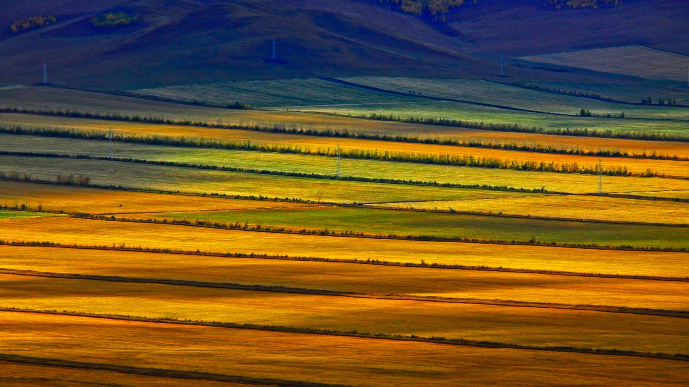 Hulunbuir grasslands, Inner Mongolia, China (© Sino Images/Getty Images)(Bing United Kingdom)