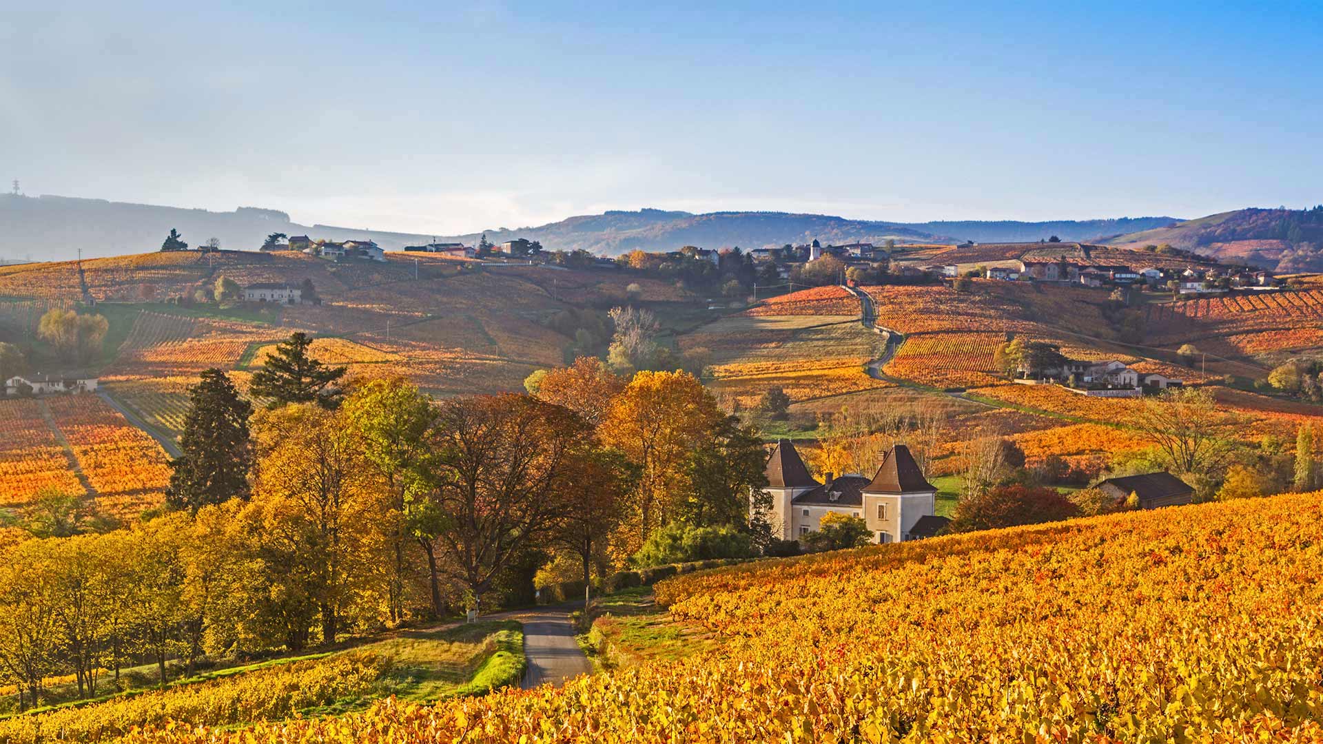 Lantignié in the Beaujolais region of France (© Jon Arnold/Danita Delimont)(Bing United Kingdom)