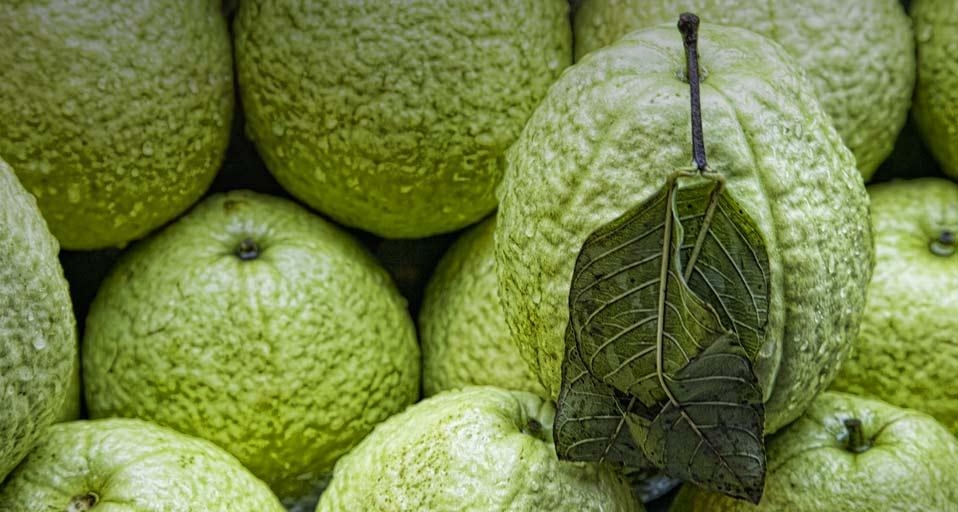 台北市场的番石榴 (© Karen Walzer/Flickr/Getty Images) &copy; (Bing China)