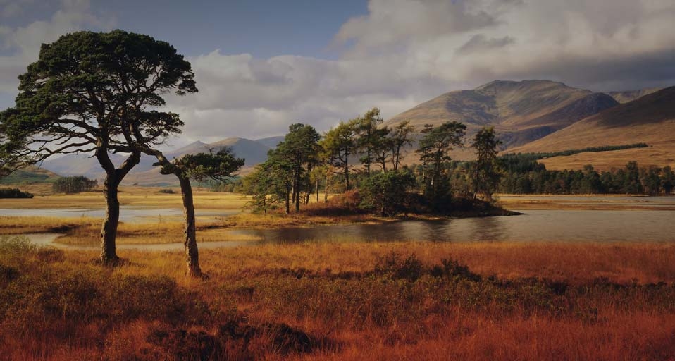 Loch Tulla in the Western Highlands, Scotland, UK -- Gavin Hellier/Photolibrary &copy; (Bing United Kingdom)