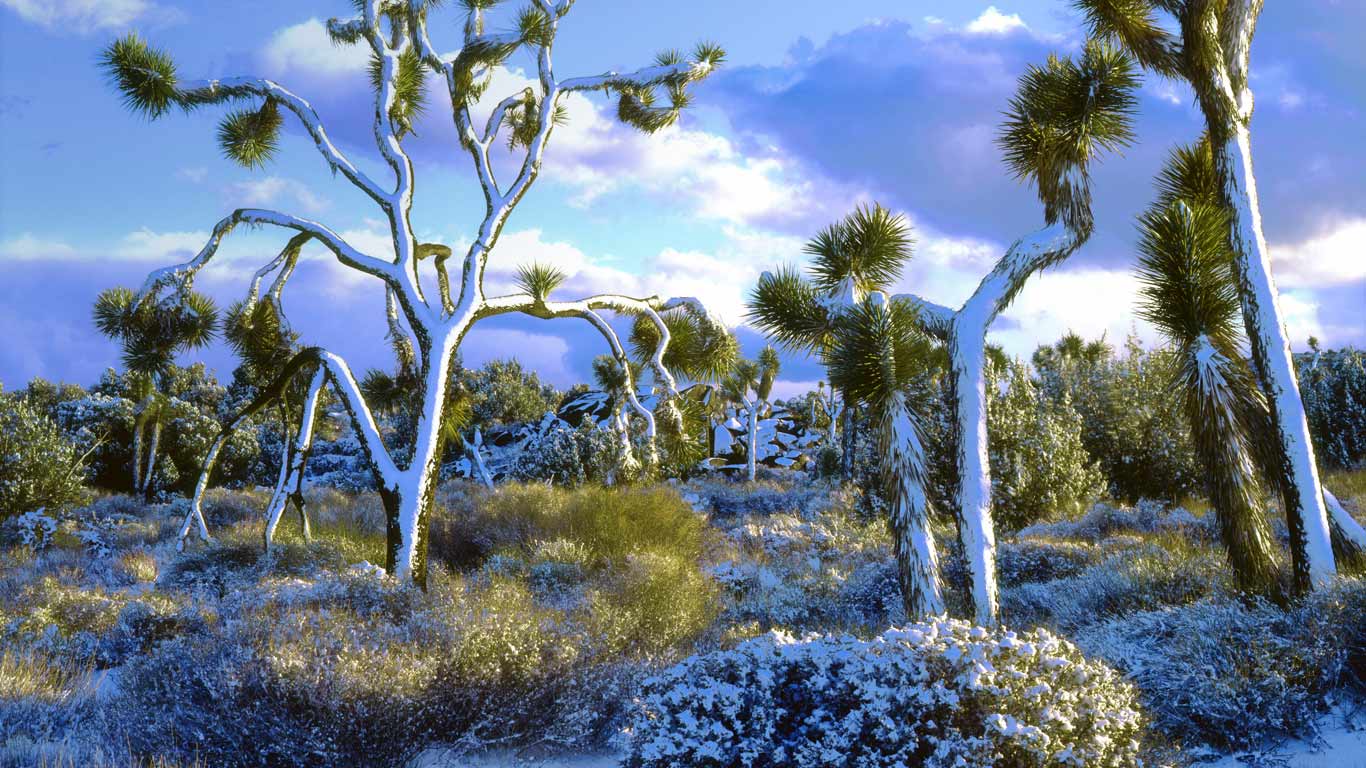 Snow-covered Joshua trees, Joshua Tree National Park, California, USA (© Christopher Talbot Frank/Danita Delimont)(Bing United Kingdom)