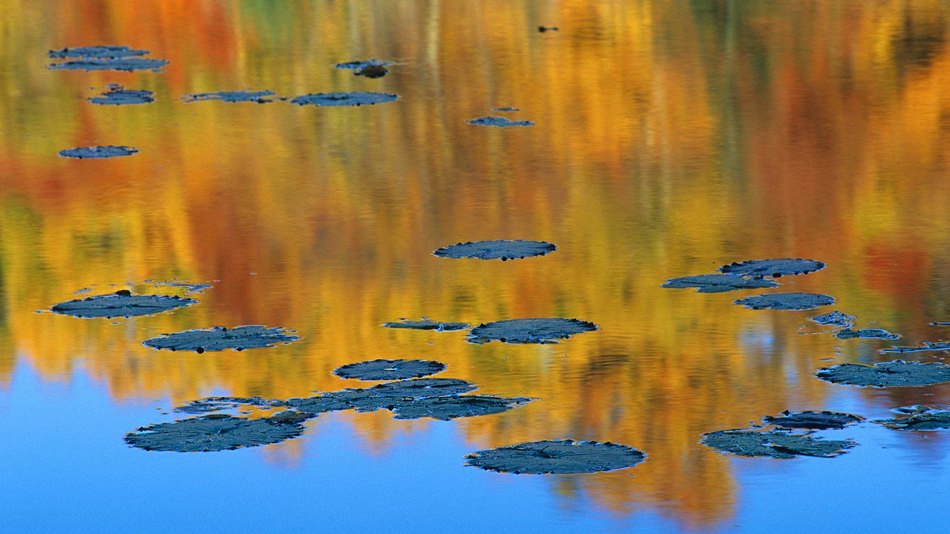 Autumn foliage reflected in pond with lily pads, Que. (© Mike Grandmaison/Getty Images)(Bing Canada)