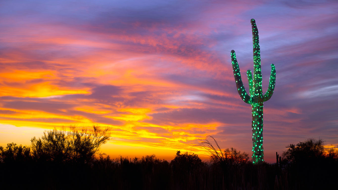 A saguaro cactus decorated with lights in Arizona (© Gallery Stock)(Bing Canada)