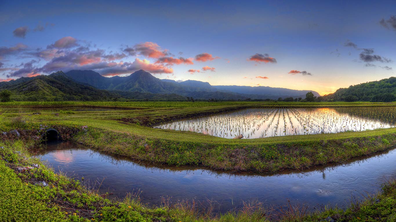｢ハナレイ渓谷｣ハワイ, カウアイ島 (© William Schildge/SuperStock)(Bing Japan)