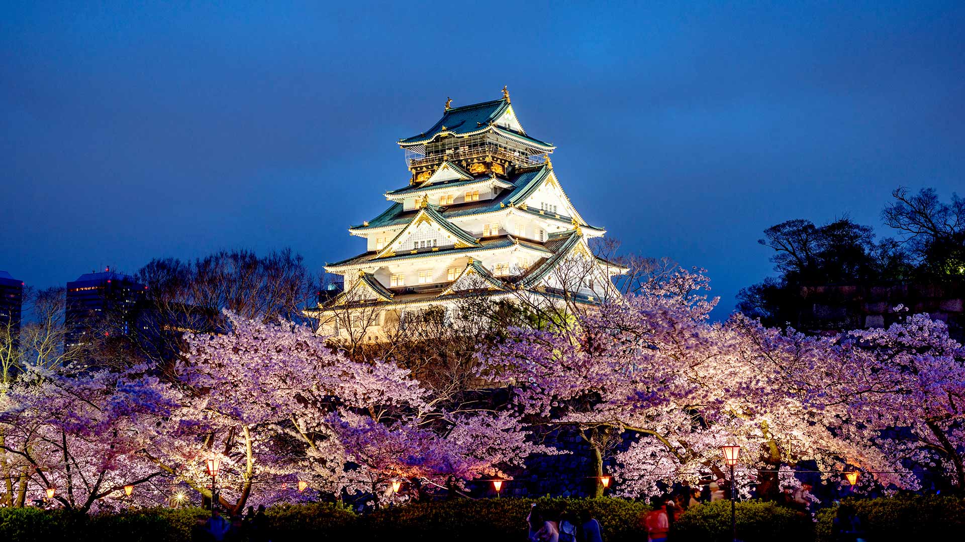 桜と大阪城, 大阪 (© Prasit Rodphan/Alamy Stock Photo)(Bing Japan)
