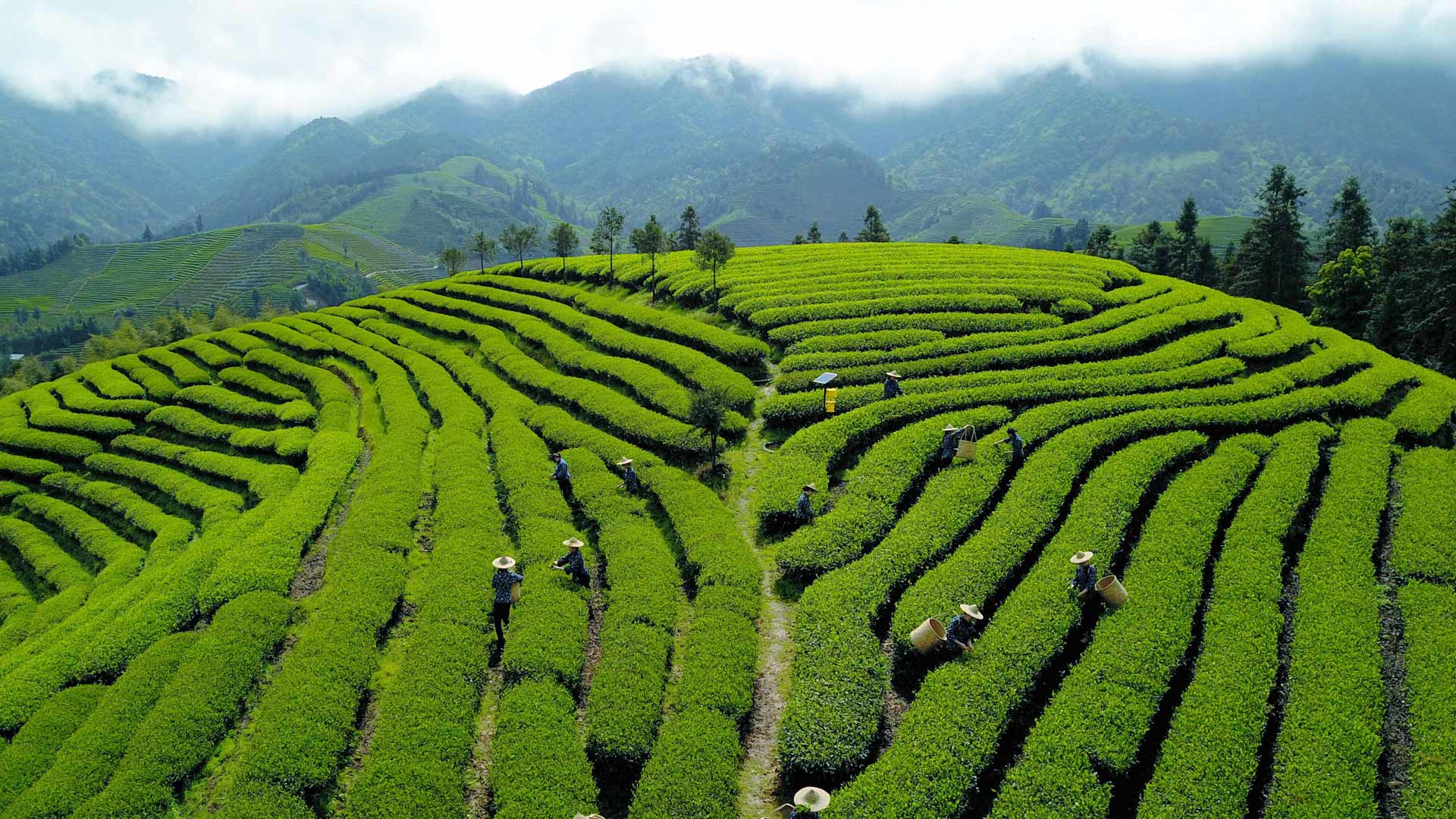 【今日清明节】 (© Xinhua/Alamy Stock Photo)(Bing China)