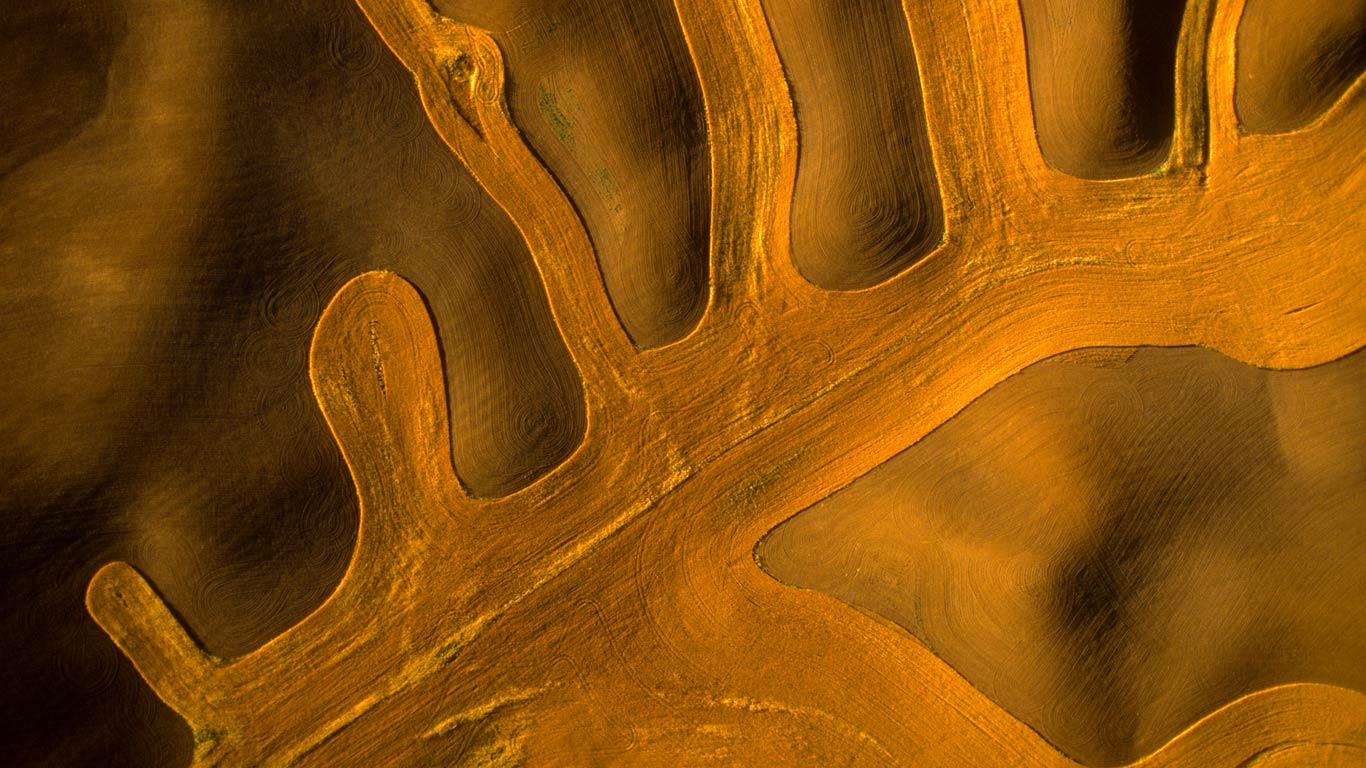 Aerial view of contour farming in the Palouse, Washington (© Cameron Davidson/Gallery Stock)(Bing United States)