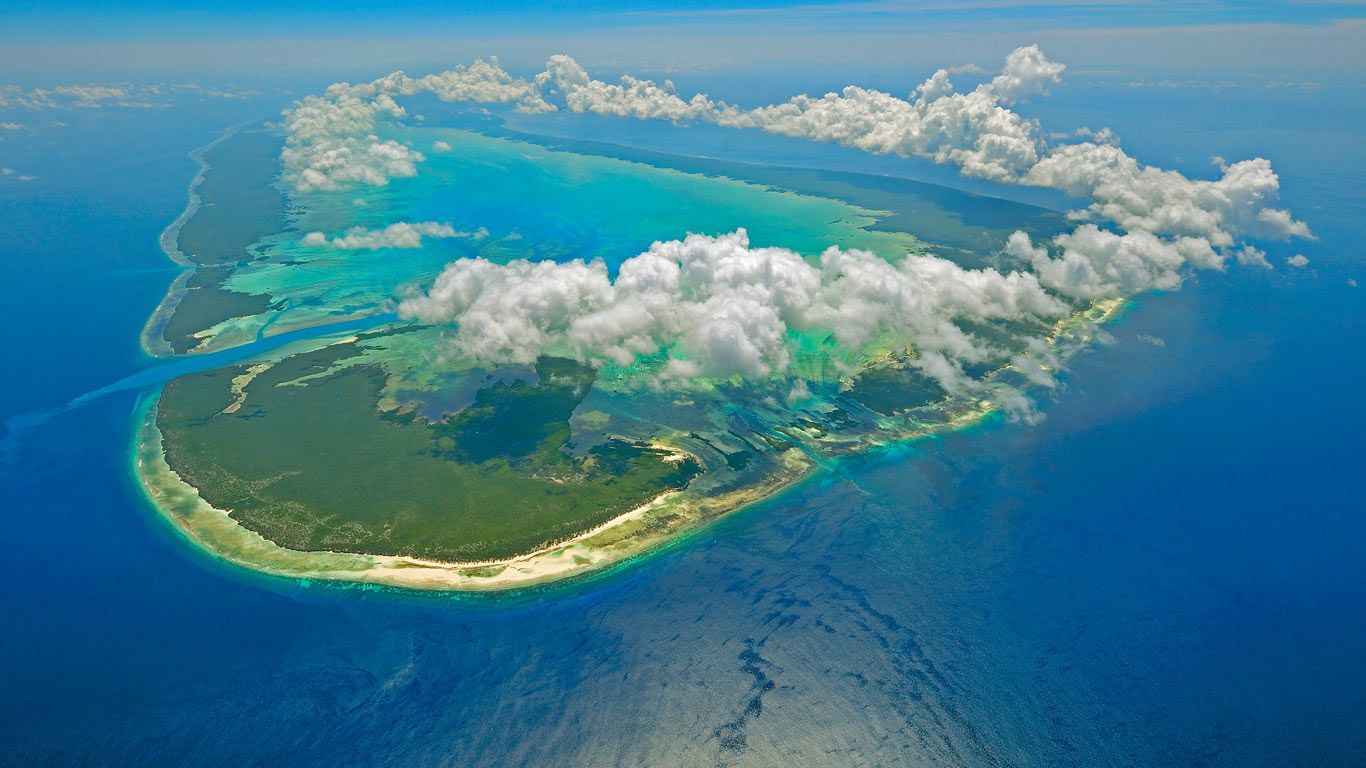 Aldabra of the Seychelles in the Indian Ocean (© Wil Meinderts/Minden Pictures)(Bing United Kingdom)
