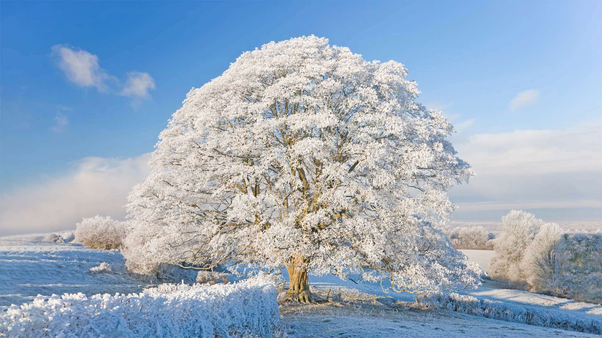 Raureif und Schnee in den Cotswolds, England, Vereinigtes Königreich (© Peter Adams/Getty Images)(Bing Deutschland)