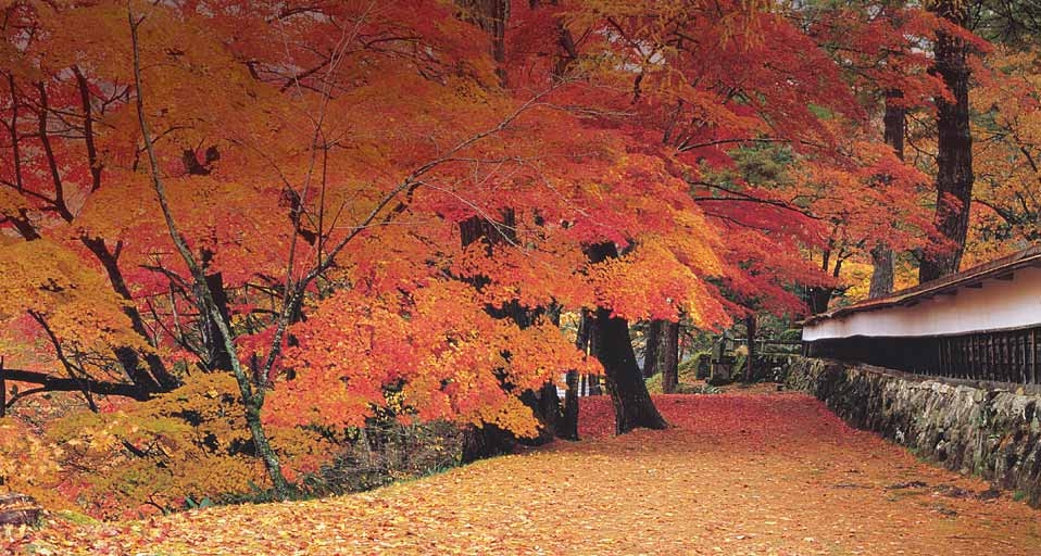 ｢円蔵寺｣福島, 柳津町 (© JTB Photo/Japan Travel Bureau/Photolibrary) &copy; (Bing Japan)