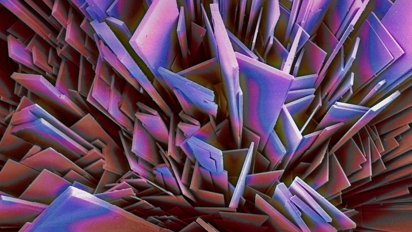 Phosphate crystals magnification (© Steve Gschmeissner/Getty Images)(Bing United Kingdom)