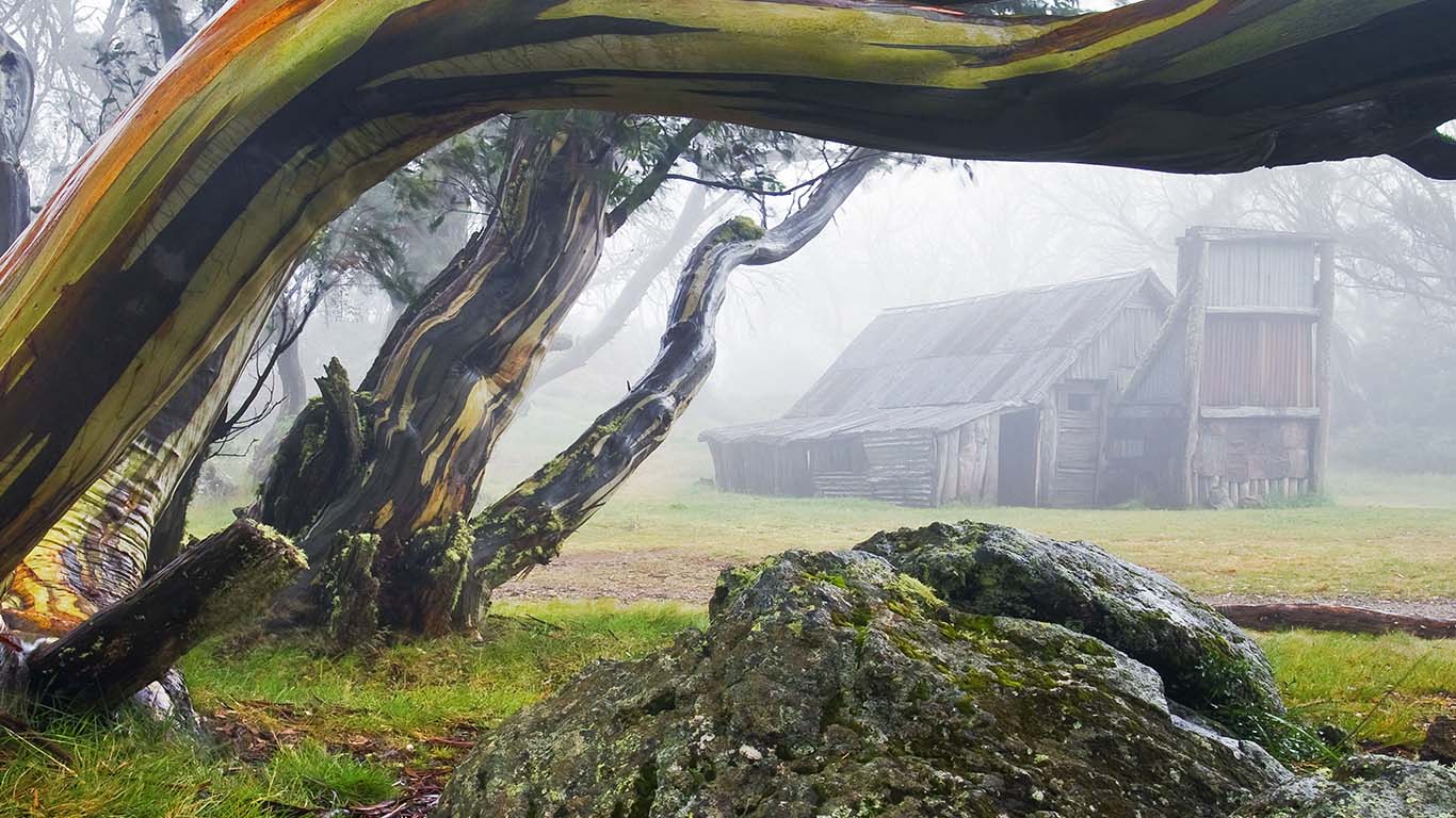 Wallace Hut and snow gum trees in Alpine National Park, Victoria, Australia (© Ingo Oeland/Alamy)(Bing United Kingdom)