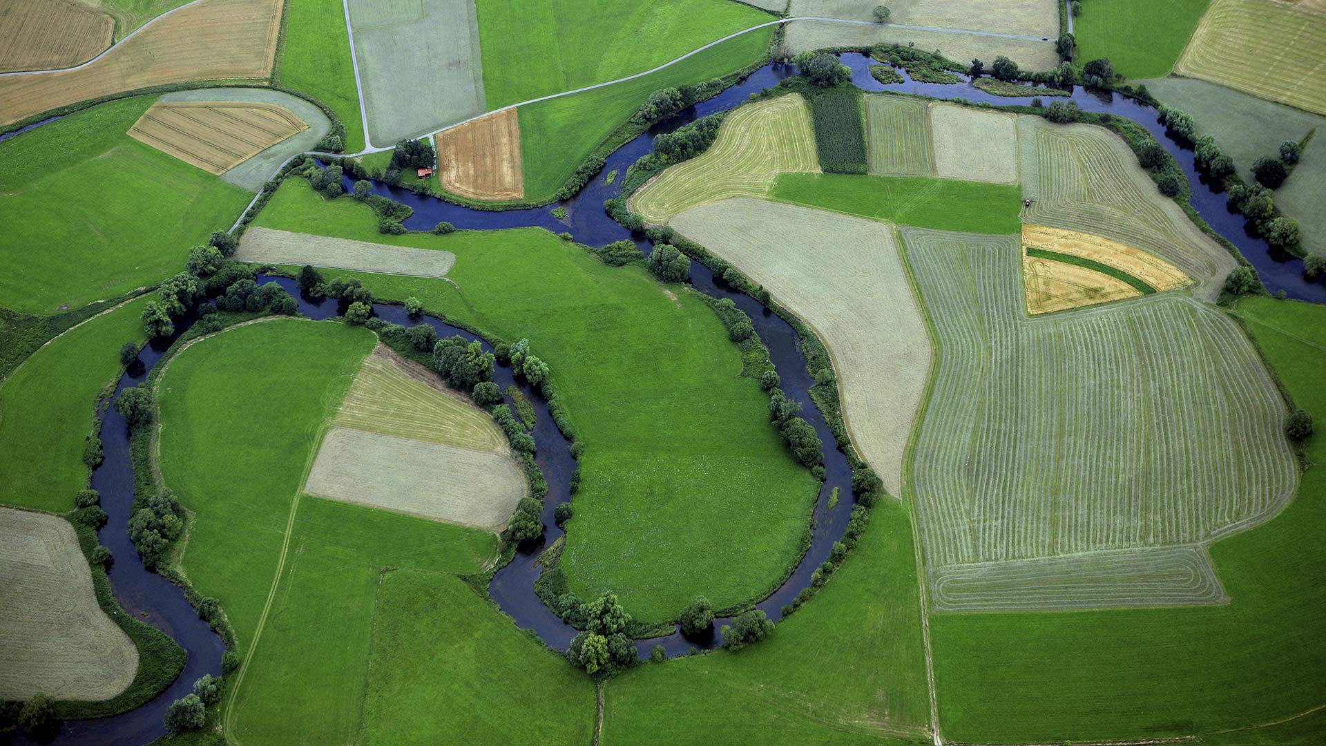Donau bei Geisingen, Baden-Württemberg (© plainpicture/Jochen Knobloch)(Bing Deutschland)