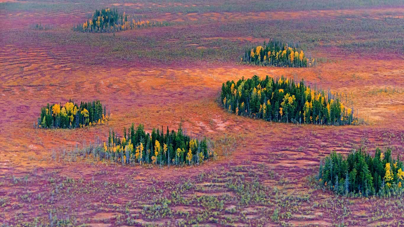 Autumn in the East Siberian taiga, Russia (© Serguei Fomine/500px)(Bing Australia)