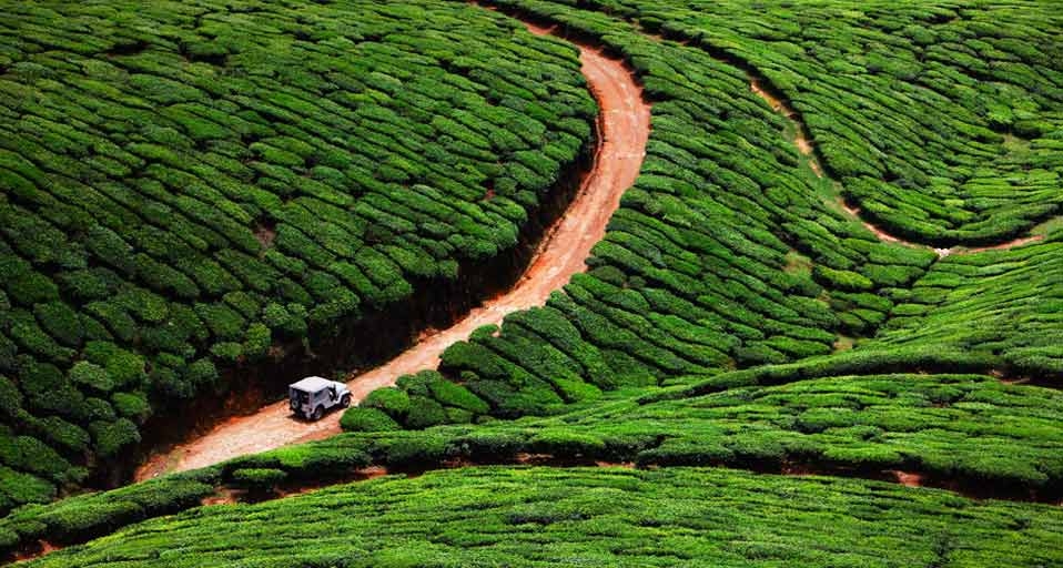 Vehicle traveling through a tea plantation in Kerala, southern India (© Hugh Sitton/Corbis) &copy; (Bing United Kingdom)