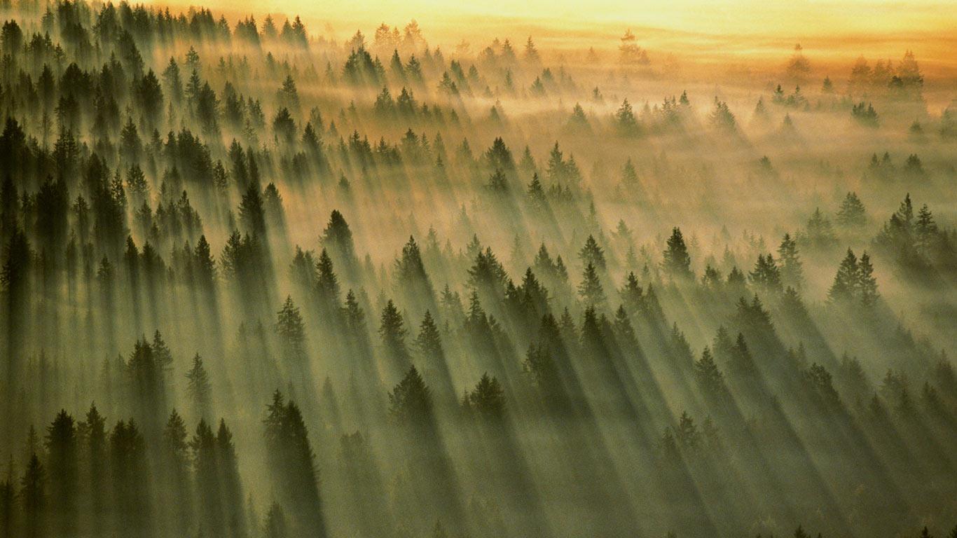 Gifford Pinchot National Forest, Washington, USA (© Art Wolfe/Getty Images)(Bing United Kingdom)
