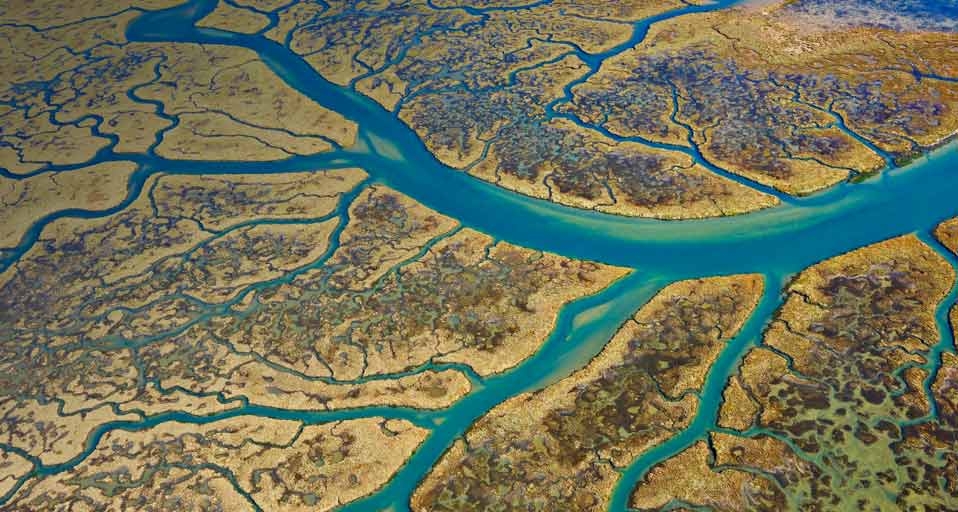Marismas del Odiel Biosphere Reserve, Huelva Province, Andalusia, Spain (© Martin Ruegner/Getty Images) &copy; (Bing United Kingdom)