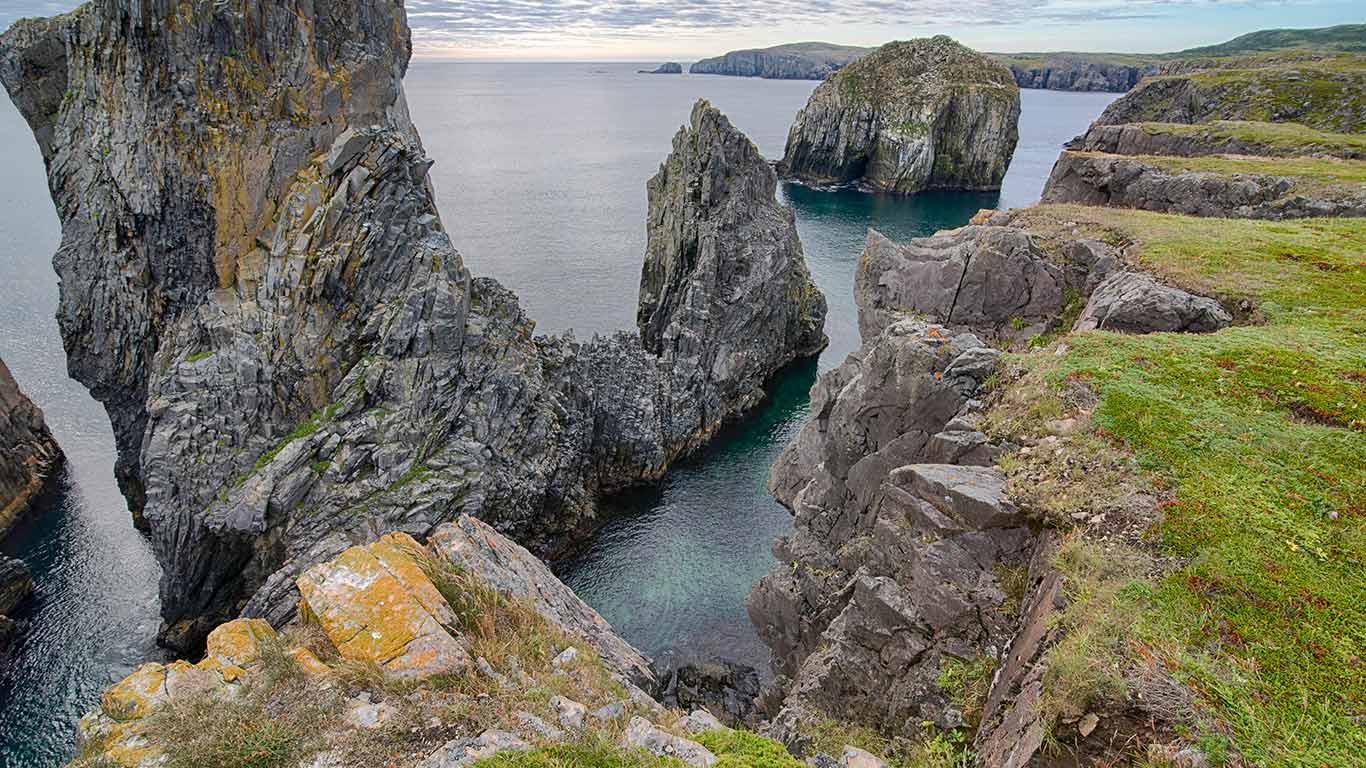 Falaises à Spillars Cove, T.-N.-L. (© Scott Leslie/Minden Pictures)(Bing New Zealand)