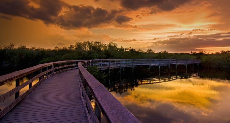 Walkway at sunset on the Anhinga trail in the Everglades National Park, Florida, USA -- SIME/eStock &copy; (Bing United Kingdom)